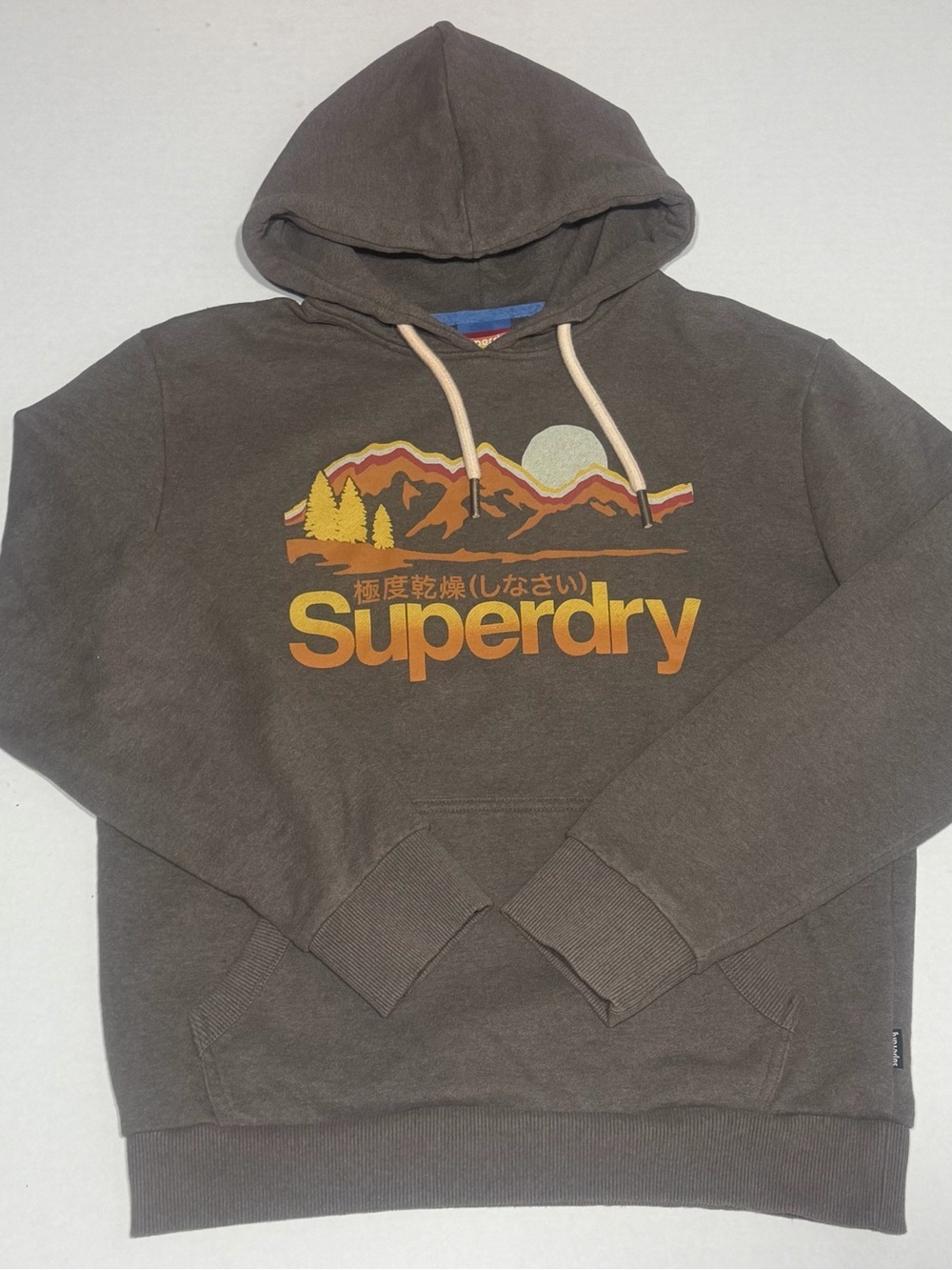 Superdry Men's Brown Graphic Hoodie